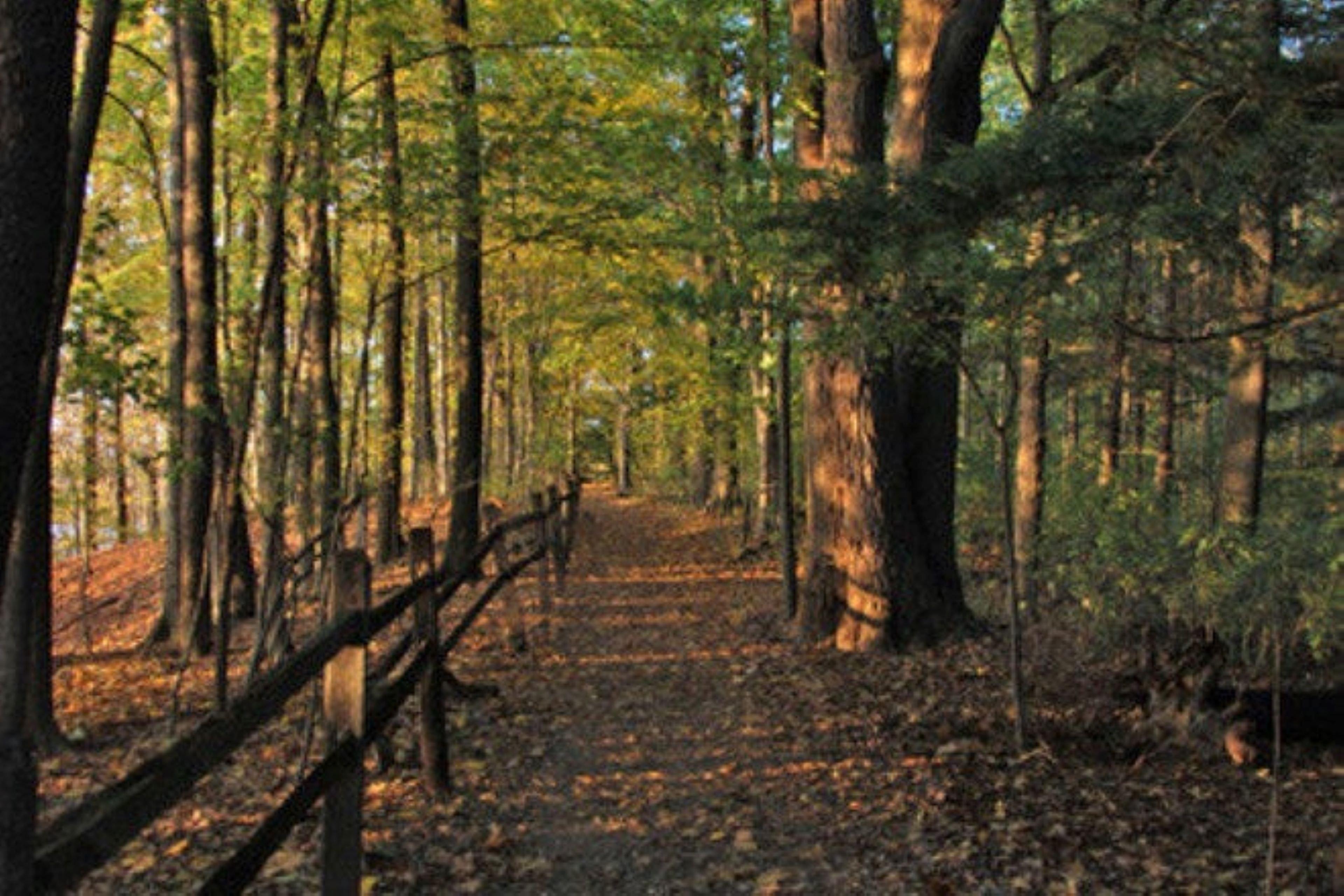 Candlewood Northwest By Ihg Hotel Indianapolis